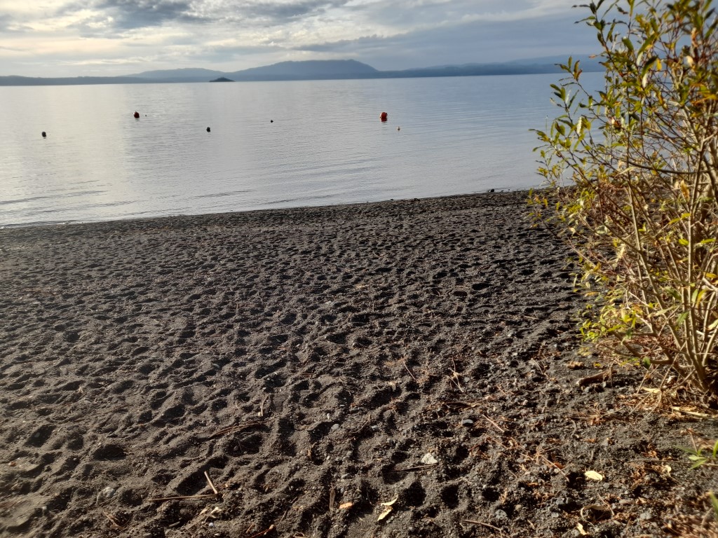 Venta Cabaña y sitios a orillas del camino Villarrica a Pucón