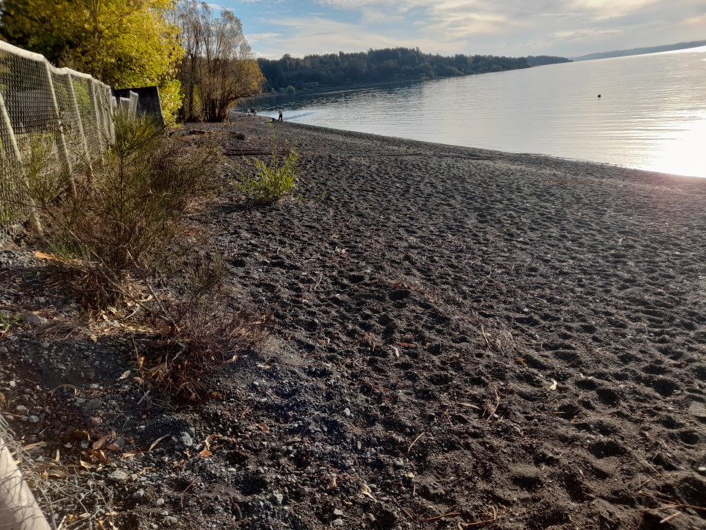 Venta Cabaña y sitios a orillas del camino Villarrica a Pucón