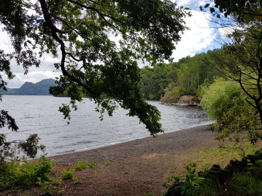 Arriendo Temporada Casa orilla de playa, Pucura, Lago calafquen