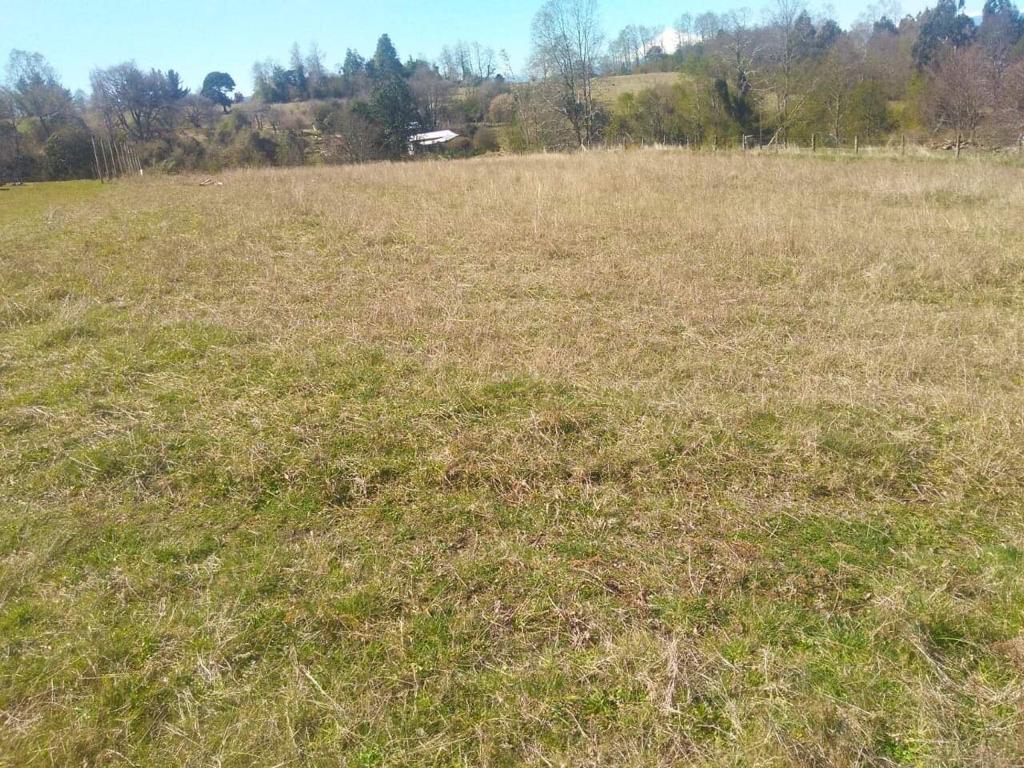Venta de una parcela Sector Panguipulli