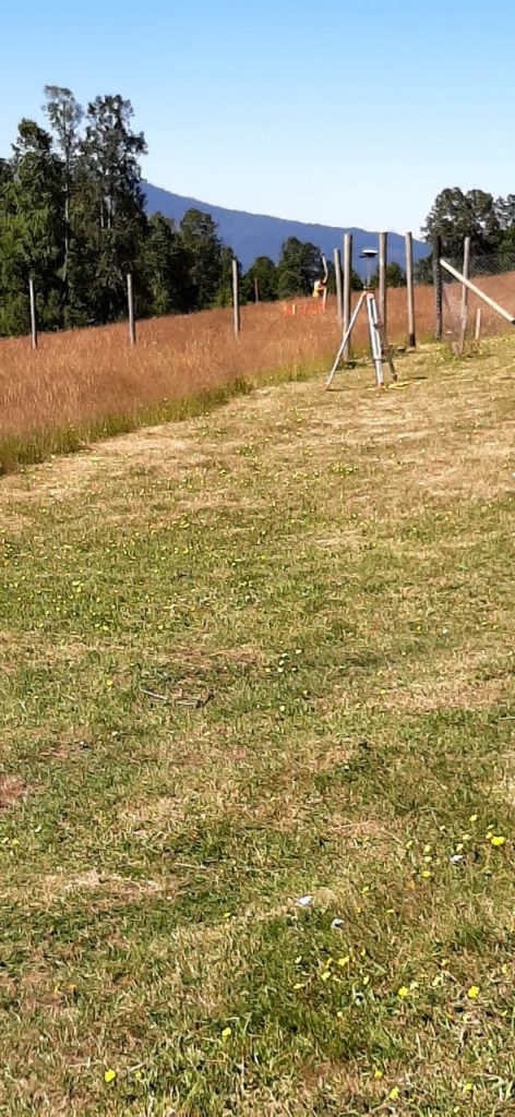Venta de una parcela Sector Panguipulli