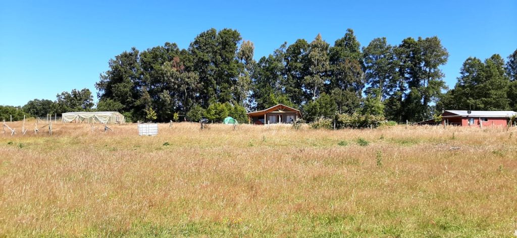 Venta de una parcela Sector Panguipulli
