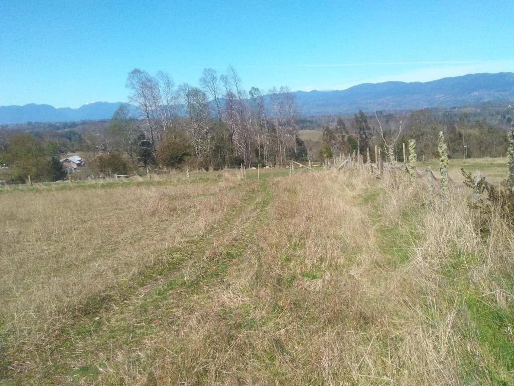 Venta de una parcela Sector Panguipulli